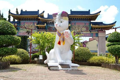 Độc đáo thành phố Mèo