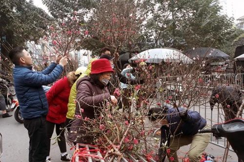 Giá cả thị trường sáng 30 Tết: Giá hoa tươi cao, quất hạ sâu
