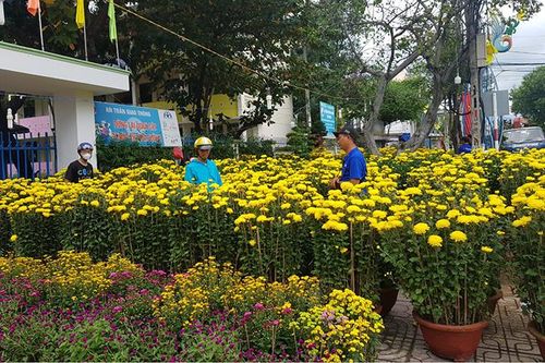 Dạo chợ hoa Nha Trang chiều 30 Tết