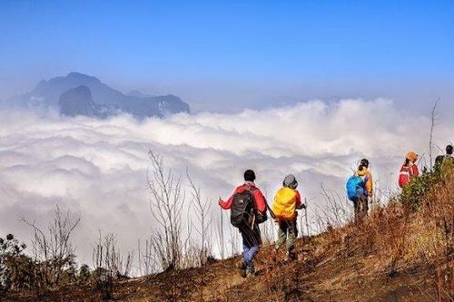 Lấp lánh 'ngọc' Y Tý