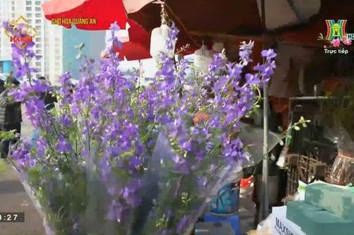 Chợ hoa Quảng Bá ngày 30 Tết