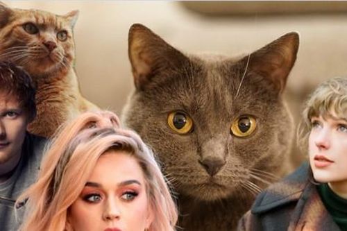 Dàn mèo cưng của sao US&UK: 'Hoàng thượng' nhà Taylor Swift sở hữu nghìn tỷ