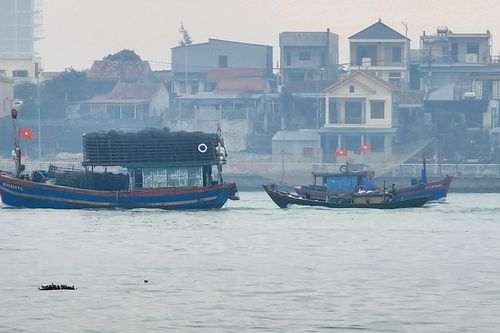 Ngư dân rộn ràng 'mở biển' mùng 1 tết
