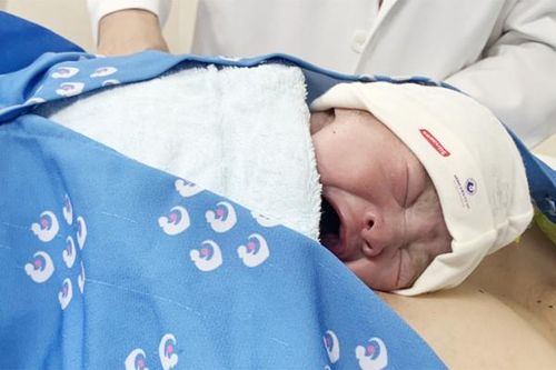 Các em bé 'Mèo Con' chào đời trong khoảnh khắc giao thừa