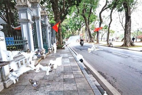 Khoảng lặng sáng mồng một Tết