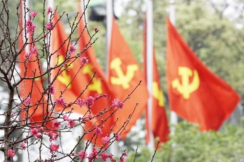 Xuân tiến bước