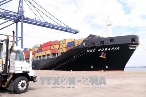 Cảng biển tấp nập đón tàu lớn làm hàng đầu năm