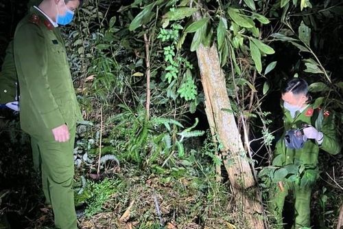Hơn 100 cảnh sát xuyên đêm truy lùng nghi phạm giết người