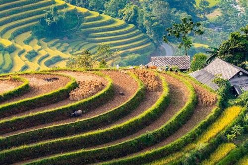 Xuân này, đi du lịch miền rẻo cao Đông Bắc