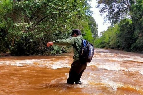 Sự thầm lặng của những người giữ rừng trong dịp Tết