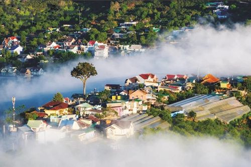 Phải lòng Đà Lạt