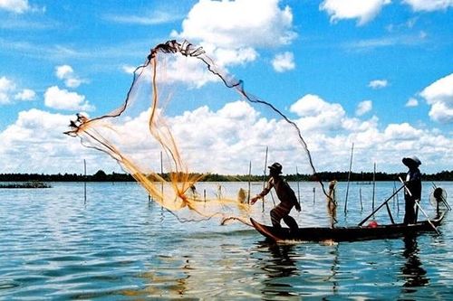 Thuận theo tự nhiên để thích ứng