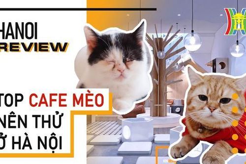 Hanoi Review (ngày 23/01/2023)