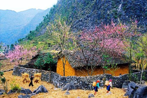 Sắc xuân trên cao nguyên đá Hà Giang