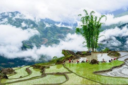 Giấc mơ vùng đất mờ sương