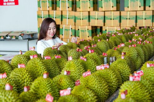Đón thời cơ xuất khẩu nông sản sang Trung Quốc