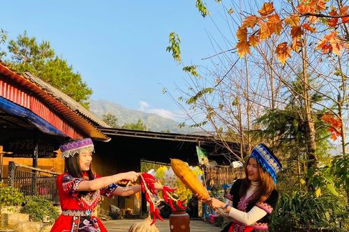 Trải nghiệm du xuân trên Y Tý đại ngàn
