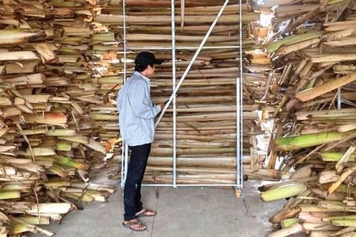 Biến mùn cưa, bẹ chuối, bã cà phê thành 'vàng'