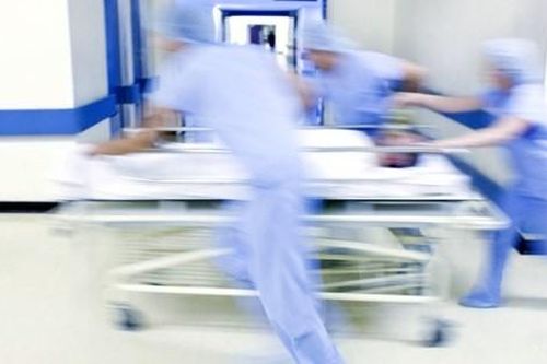 Hình tượng Mèo trong nghệ thuật thế giới