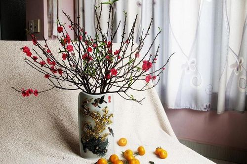 Giữ hoa đào tươi lâu, nở đẹp suốt Tết cần chú ý mẹo hay này