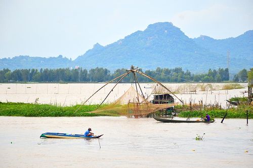 Tết của nghề 'bà cậu'