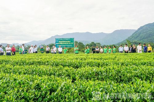 Vị thế của nông nghiệp Thái Nguyên