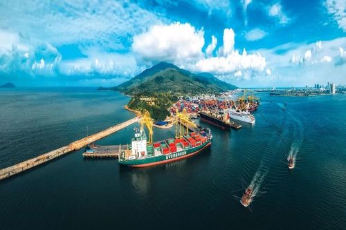 VIMC đạt lợi nhuận cao bất chấp bối cảnh bất lợi