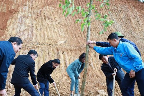 Các địa phương, đơn vị sôi nổi hưởng ứng Tết trồng cây