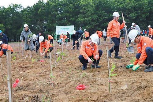 Công ty Nhiệt điện Nghi Sơn gặp mặt đầu xuân và tổ chức Tết trồng cây Xuân Quý Mão năm 2023