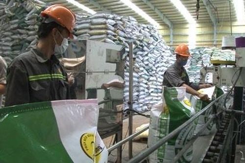 Quý 4/2022, lợi nhuận của Phân bón Bình Điền giảm gần 80% so với cùng kỳ