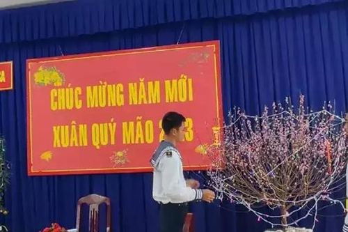 Bừng sắc thắm hoa đào, hoa mai ở Trường Sa