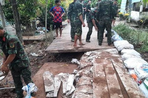 Triều cường gây thiệt hại hoa màu, ảnh hưởng hàng trăm hộ dân những ngày Tết