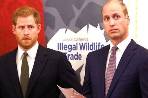 Harry khinh miệt William