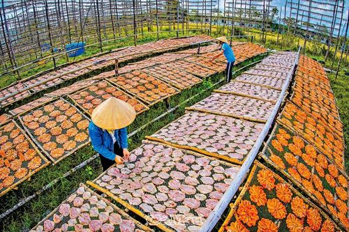 Cà Mau: Khát vọng biển Tây