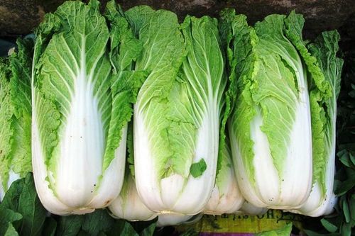 Điểm danh những loại rau củ ẩn chứa siêu nhiều độc tố, cả triệu người Việt đều biết mà vẫn ăn thường xuyên