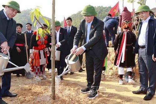 Chủ tịch Quốc hội dự Lễ phát động thi đua và Tết trồng cây tại Tuyên Quang