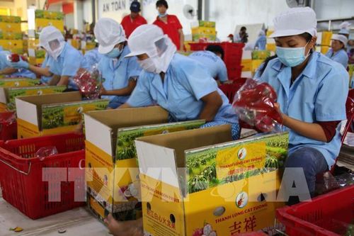 Để sản phẩm của hợp tác xã đến gần với thị trường Halal