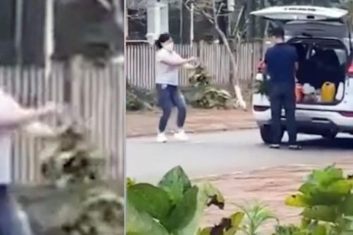 Nữ du khách nhổ trộm hoa nhanh như cắt ở khu du lịch Măng Đen gây bức xúc