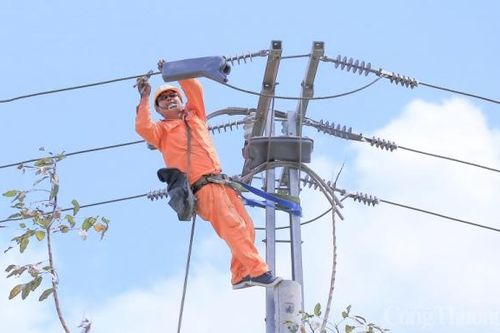 Điện lực miền Nam: Cung cấp điện an toàn, ổn định 21 tỉnh thành phía Nam trong dịp Tết