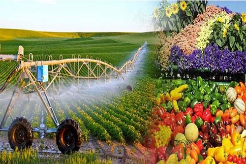 Sức lan tỏa lớn từ các dự án hỗ trợ của UNDP đối với nông nghiệp Việt Nam