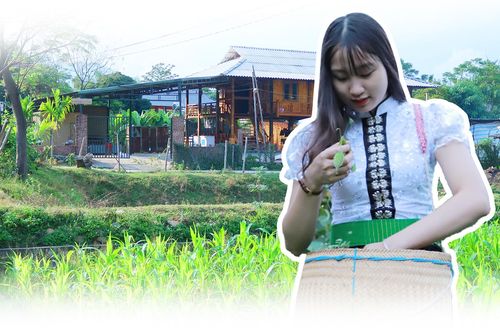 Lạc vào miền gái đẹp: Bí mật nhan sắc Mường Lò