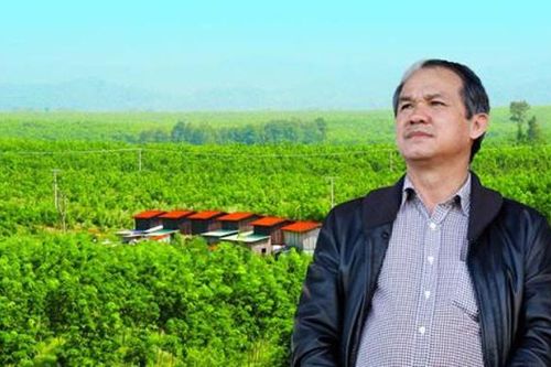 Hoàng Anh Gia Lai của Bầu Đức lãi nghìn tỷ, vì sao muốn bỏ bóng đá?