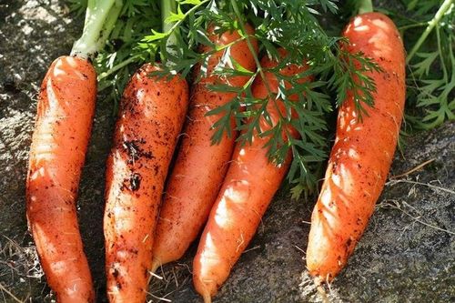 10 thực phẩm giúp làm sạch gan, thải hết chất độc trong cơ thể, số 3 cần bổ sung ngay