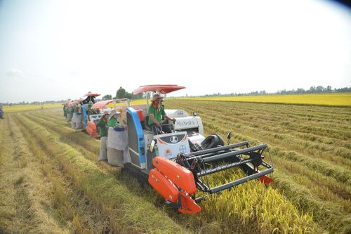 Lộc Trời thu kỷ lục gần nửa tỷ USD