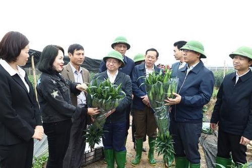 Huyện Mê Linh: Động viên bà con ra quân sản xuất đầu Xuân 2023