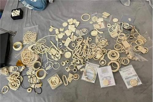 Bắt giữ đối tượng buôn bán sản phẩm ngà voi, móng hổ