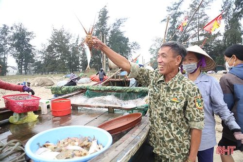 Ngư dân Hà Tĩnh đón nhiều 'lộc biển'