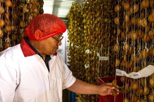 Loài hải sản được ví như 'vàng trắng': 'Miếng cơm' của ngàn người nhưng cũng là nguồn cơn tội phạm