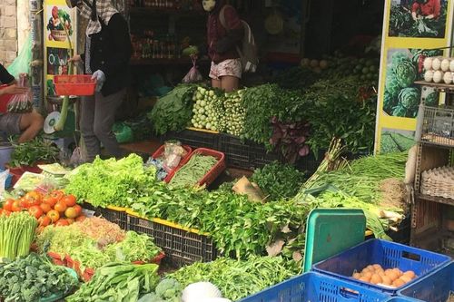 TP. Hồ Chí Minh: Nguồn cung giảm, giá rau xanh neo cao