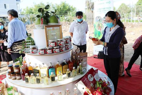 HTX ngành thực phẩm đồ uống 'chớp' cơ hội mới từ thị trường